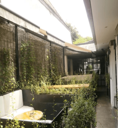 Hidden Gem di Tengah Kota! Rumah Nyaman Area Dr. Sutomo - Foto 3